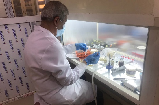 Study of the biological activity of a group of plant extracts